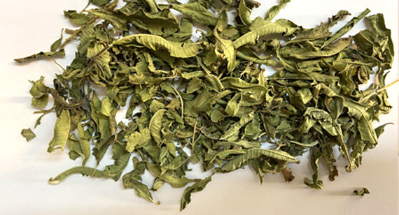 Thyme